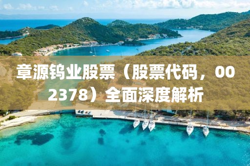 章源钨业股票（股票代码，002378）全面深度解析