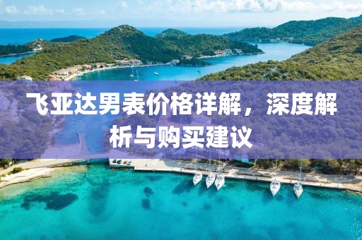 飞亚达男表价格详解，深度解析与购买建议
