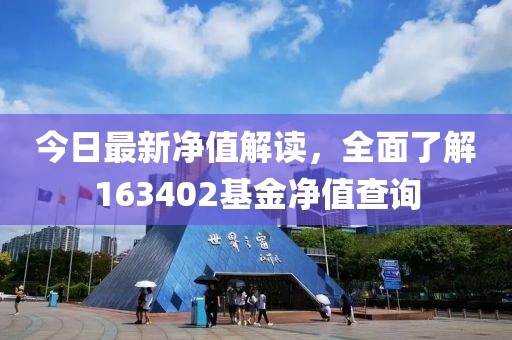 今日最新净值解读，全面了解163402基金净值查询