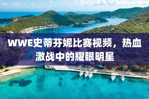 WWE史蒂芬妮比赛视频，热血激战中的耀眼明星