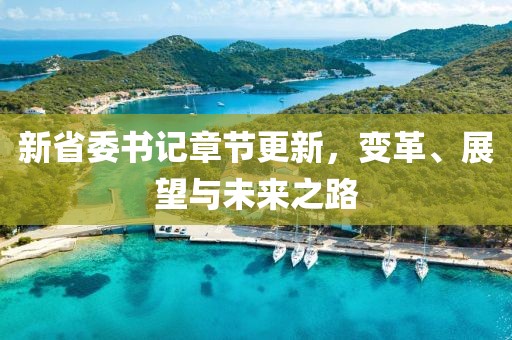 新省委书记章节更新，变革、展望与未来之路