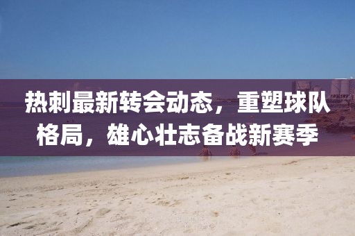 热刺最新转会动态，重塑球队格局，雄心壮志备战新赛季