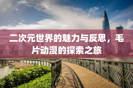 二次元世界的魅力与反思，毛片动漫的探索之旅