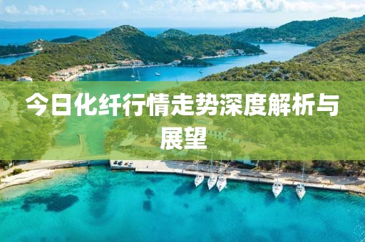 今日化纤行情走势深度解析与展望