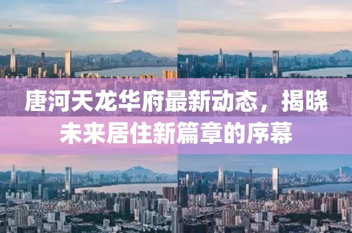 唐河天龙华府最新动态，揭晓未来居住新篇章的序幕