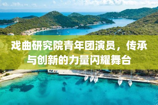 戏曲研究院青年团演员，传承与创新的力量闪耀舞台