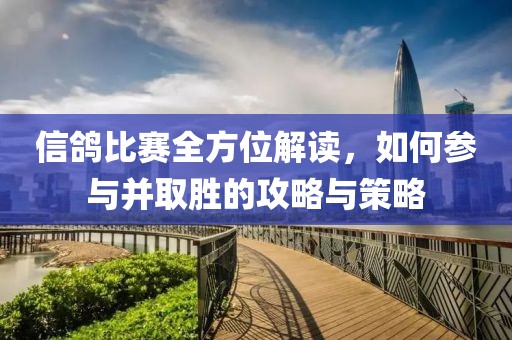 信鸽比赛全方位解读，如何参与并取胜的攻略与策略