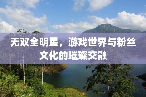 无双全明星，游戏世界与粉丝文化的璀璨交融