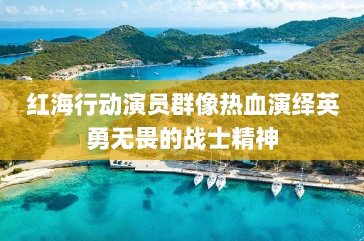 红海行动演员群像热血演绎英勇无畏的战士精神