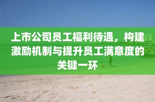 上市公司员工福利待遇，构建激励机制与提升员工满意度的关键一环