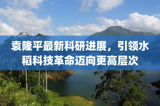 袁隆平最新科研进展，引领水稻科技革命迈向更高层次