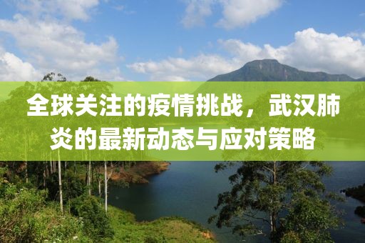 全球关注的疫情挑战，武汉肺炎的最新动态与应对策略