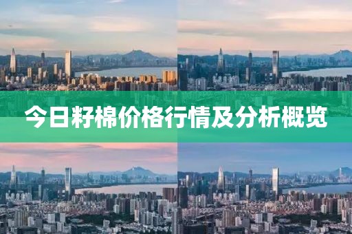 今日籽棉价格行情及分析概览
