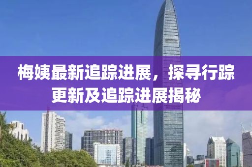 梅姨最新追踪进展，探寻行踪更新及追踪进展揭秘
