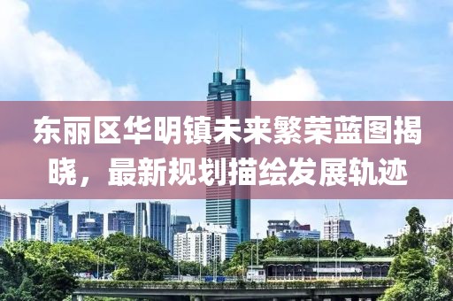 东丽区华明镇未来繁荣蓝图揭晓，最新规划描绘发展轨迹