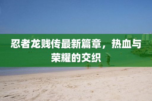 忍者龙贱传最新篇章，热血与荣耀的交织