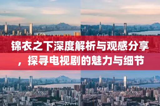 锦衣之下深度解析与观感分享，探寻电视剧的魅力与细节
