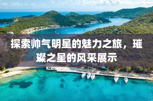 探索帅气明星的魅力之旅，璀璨之星的风采展示