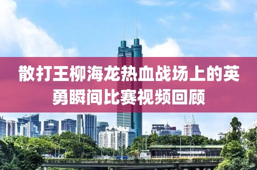 散打王柳海龙热血战场上的英勇瞬间比赛视频回顾
