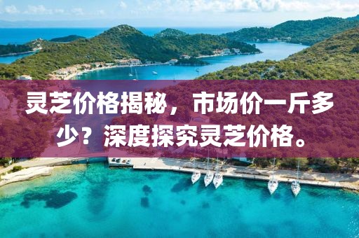 灵芝价格揭秘，市场价一斤多少？深度探究灵芝价格。