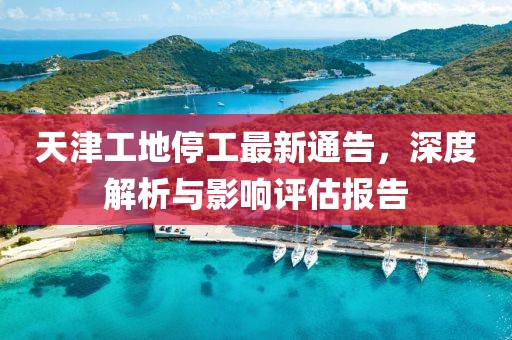 天津工地停工最新通告，深度解析与影响评估报告