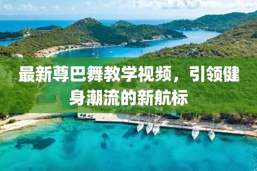 最新尊巴舞教学视频，引领健身潮流的新航标