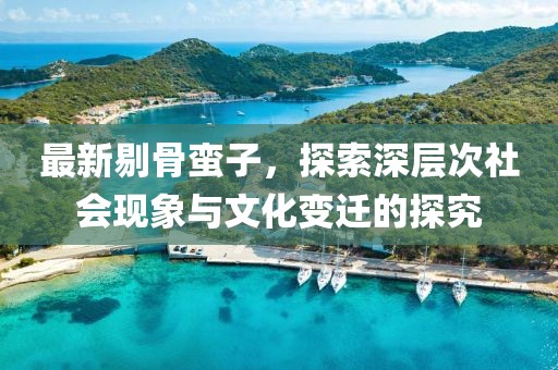 最新剔骨蛮子，探索深层次社会现象与文化变迁的探究