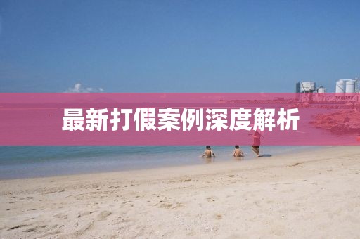 最新打假案例深度解析