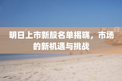 明日上市新股名单揭晓，市场的新机遇与挑战