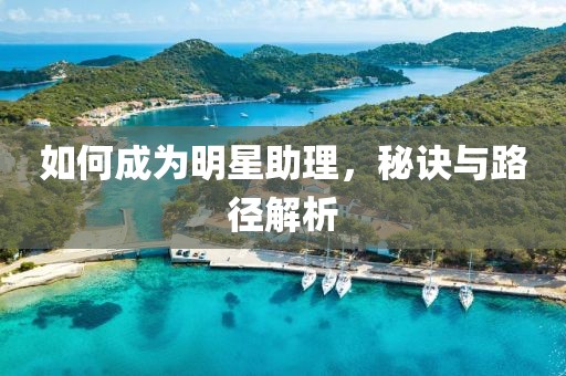 如何成为明星助理，秘诀与路径解析