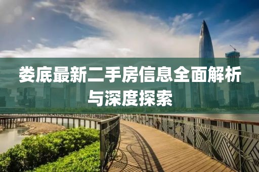 娄底最新二手房信息全面解析与深度探索
