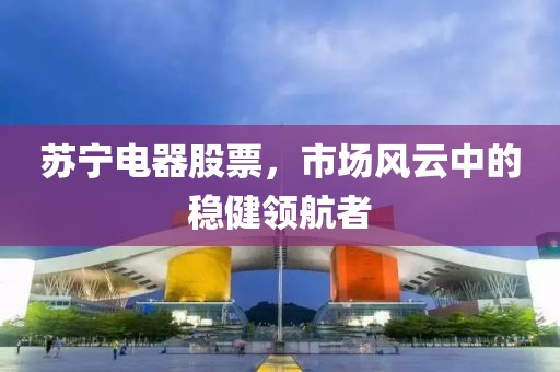 苏宁电器股票，市场风云中的稳健领航者