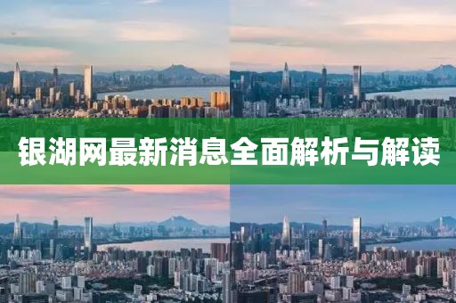 银湖网最新消息全面解析与解读