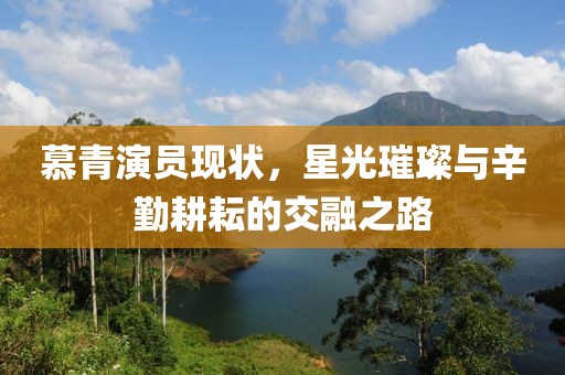 慕青演员现状，星光璀璨与辛勤耕耘的交融之路