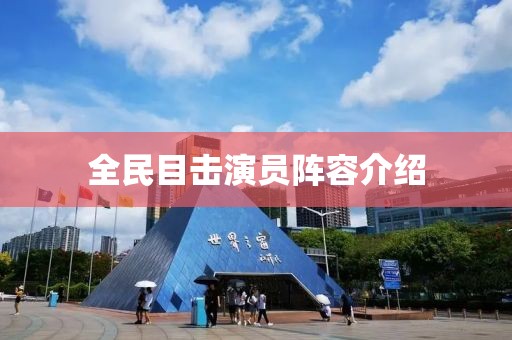 全民目击演员阵容介绍