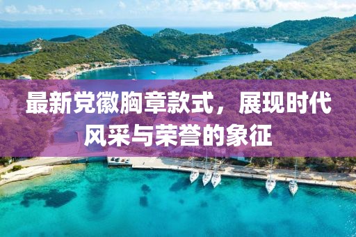 最新党徽胸章款式，展现时代风采与荣誉的象征