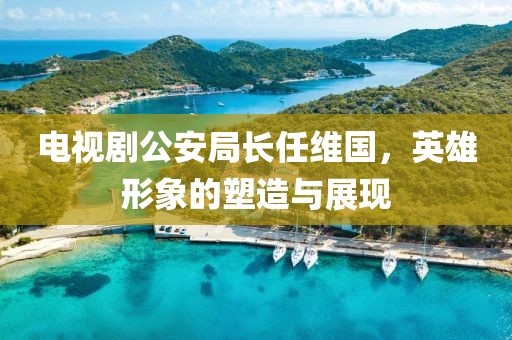 电视剧公安局长任维国，英雄形象的塑造与展现
