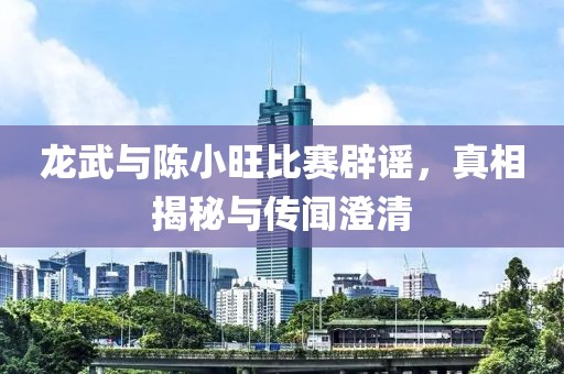 龙武与陈小旺比赛辟谣，真相揭秘与传闻澄清
