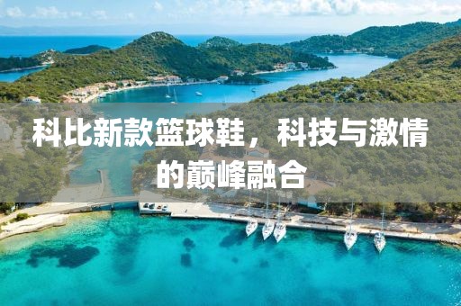 科比新款篮球鞋，科技与激情的巅峰融合