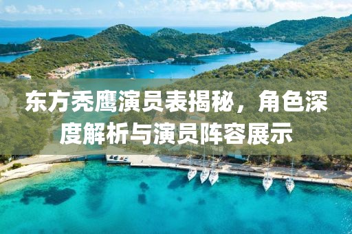 东方秃鹰演员表揭秘，角色深度解析与演员阵容展示