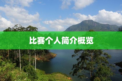 比赛个人简介概览