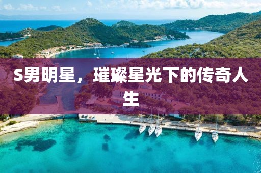 S男明星，璀璨星光下的传奇人生