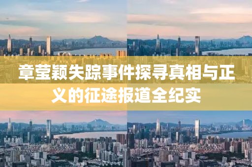章莹颖失踪事件探寻真相与正义的征途报道全纪实