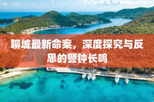 聊城最新命案，深度探究与反思的警钟长鸣