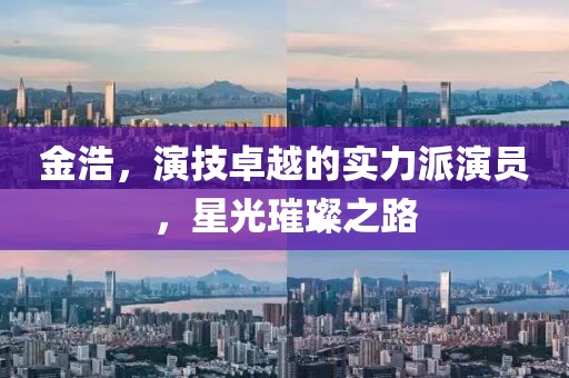 金浩，演技卓越的实力派演员，星光璀璨之路