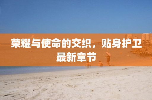 荣耀与使命的交织，贴身护卫最新章节