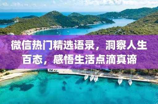 微信热门精选语录，洞察人生百态，感悟生活点滴真谛