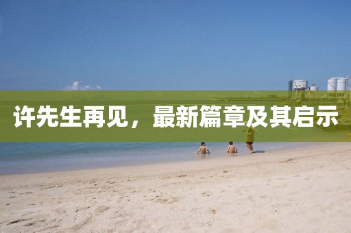许先生再见，最新篇章及其启示