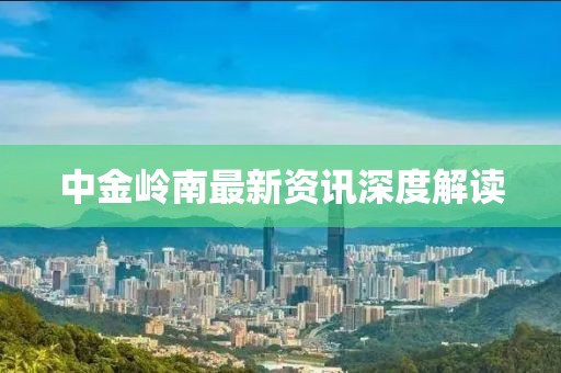 中金岭南最新资讯深度解读