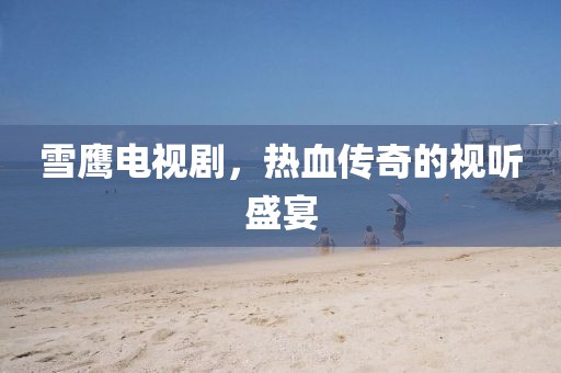 雪鹰电视剧，热血传奇的视听盛宴